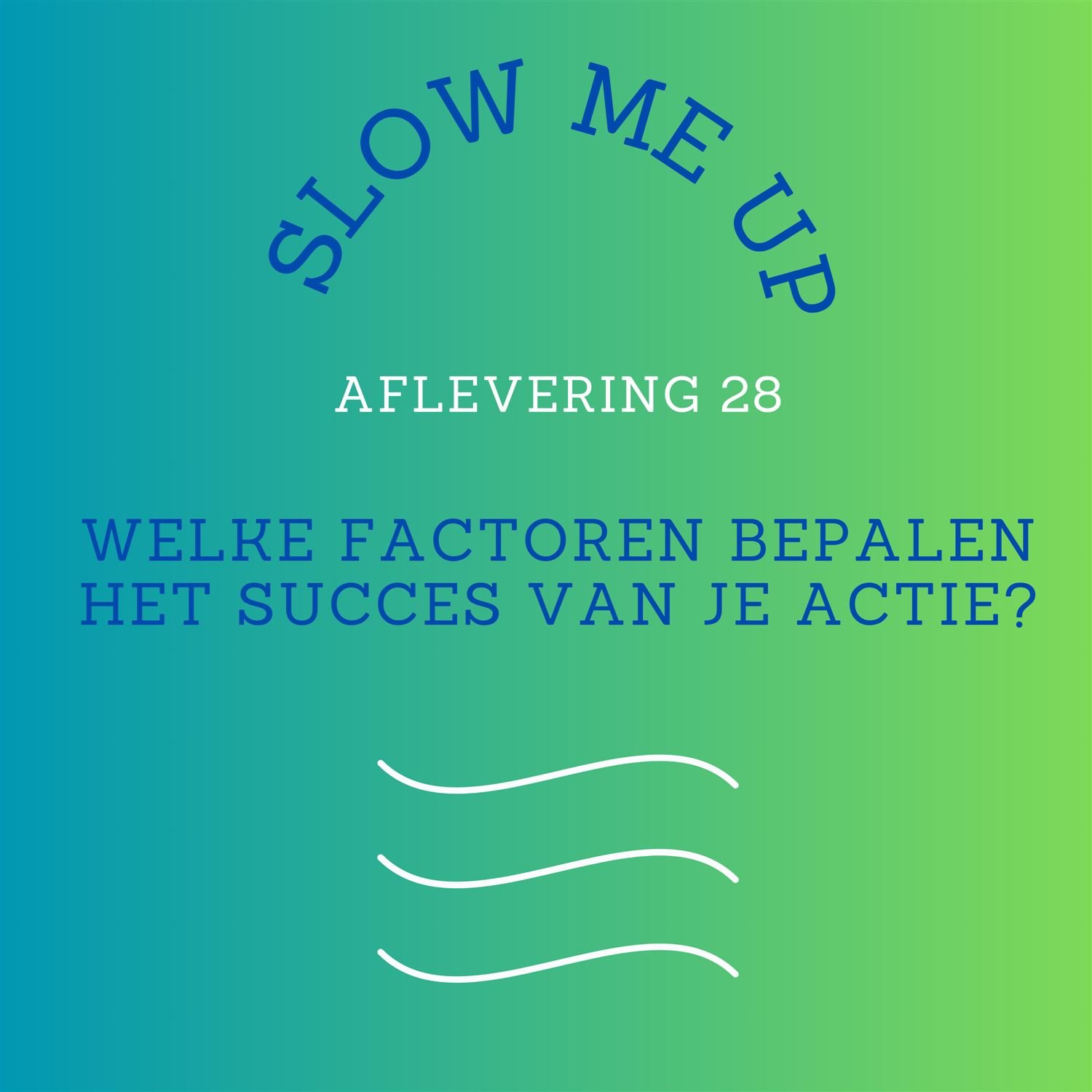 28. Welke factoren bepalen het succes van je actie?